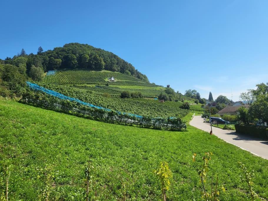 Schoene Einliegerwohnung 200M Vom Wasser Entfernt 施泰因 外观 照片